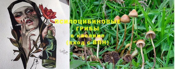 индика Киренск