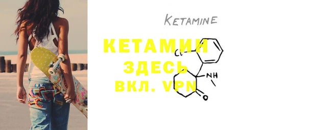 индика Киренск