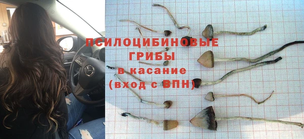 индика Киренск