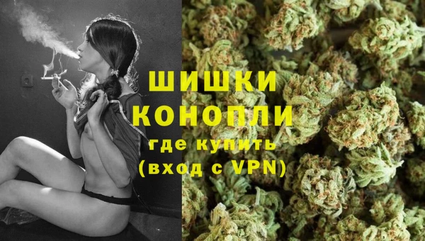 индика Киренск