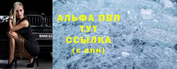 индика Киренск