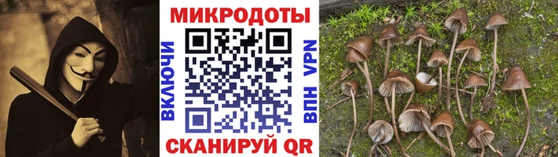 Галлюциногенные грибы мухоморы  сайты даркнета формула  Сысерть 